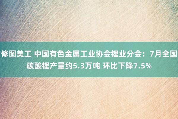 修图美工 中国有色金属工业协会锂业分会：7月全国碳酸锂产量约5.3万吨 环比下降7.5%